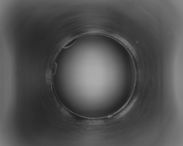 X0000100751001200806261540