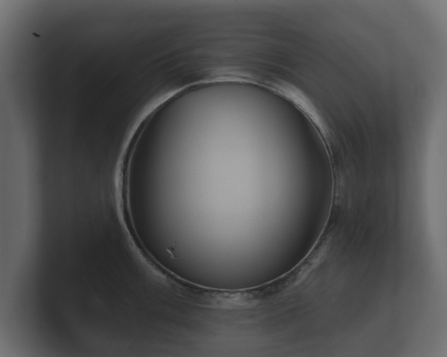 X0000100751003200806261540