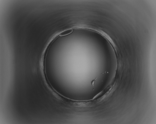 X0000100751005200806261540