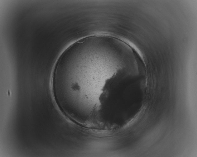 X0000100751007200806261540