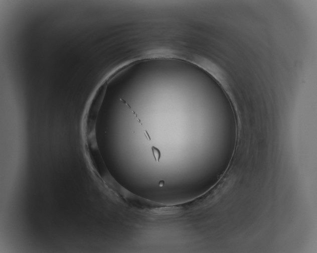 X0000100751008200806261540