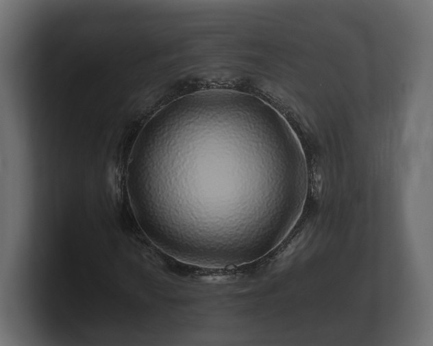 X0000100751010200806261539