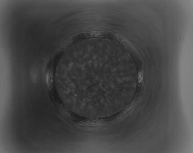 X0000100751011200806261539