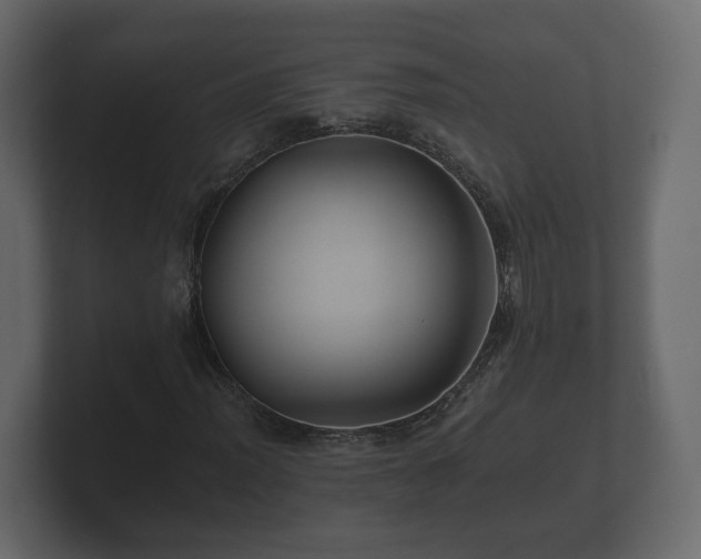 X0000100751012200806261539