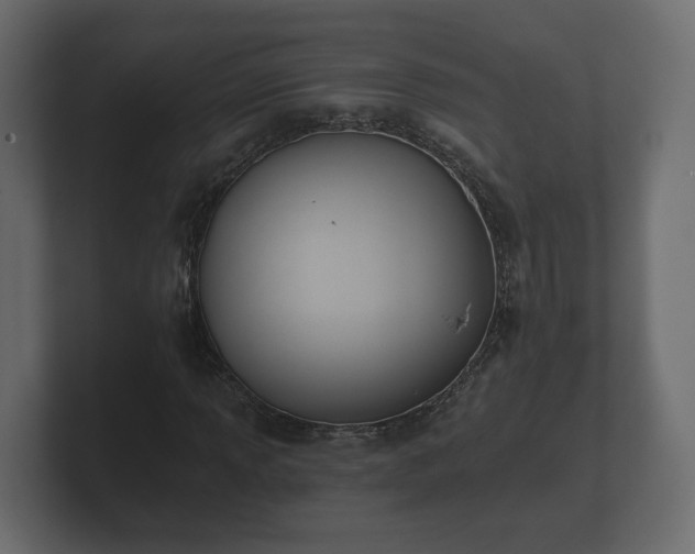 X0000100751013200806261539