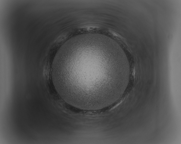 X0000100751014200806261539