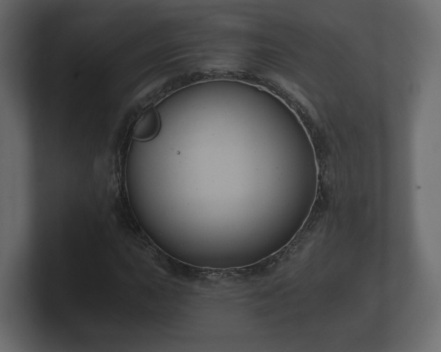 X0000100751015200806261539