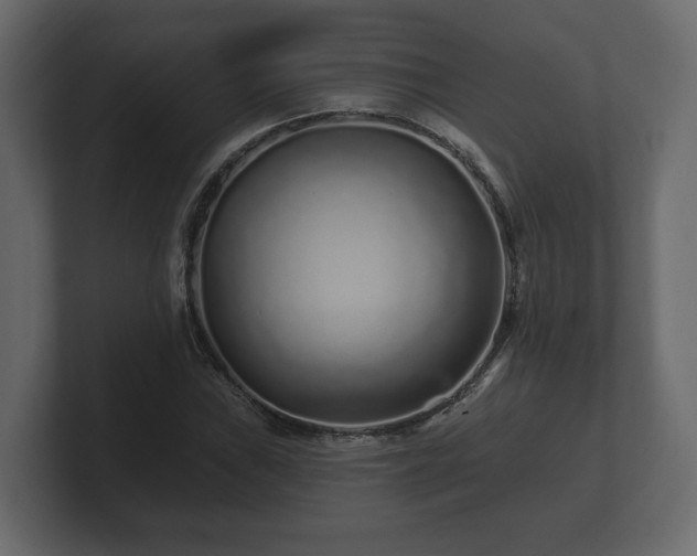 X0000100751019200806261539