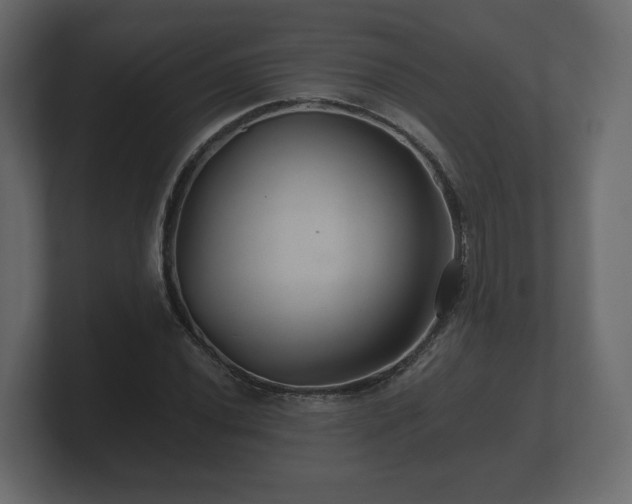 X0000100751020200806261539