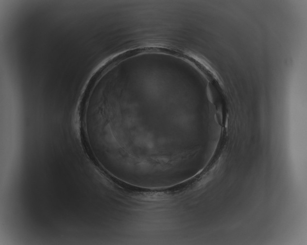 X0000100751024200806261539