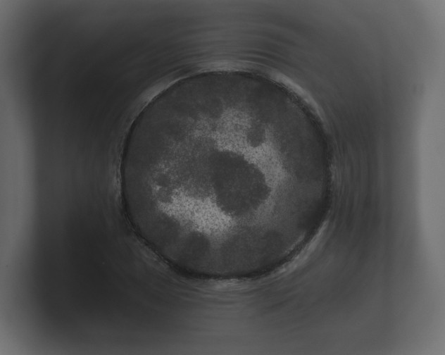 X0000100751025200806261539