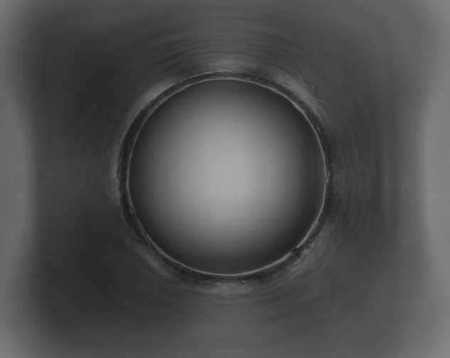 X0000100751026200806261539