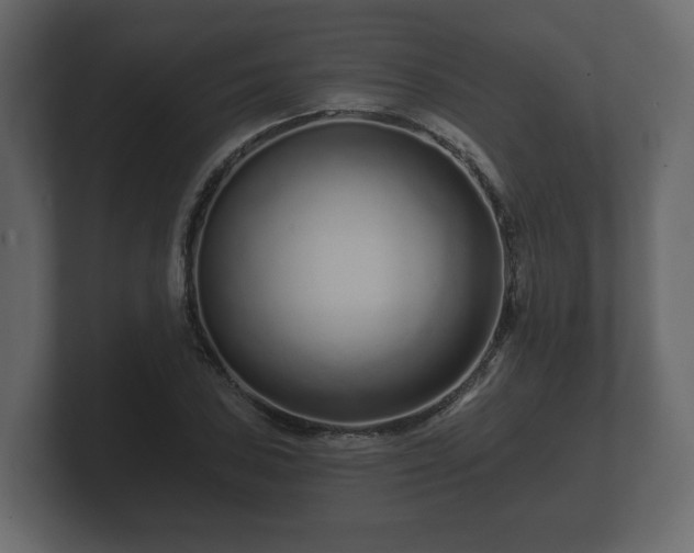 X0000100751027200806261539