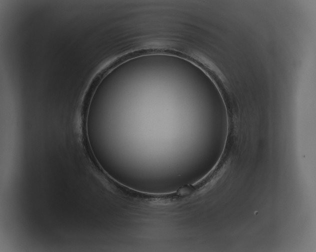 X0000100751029200806261539