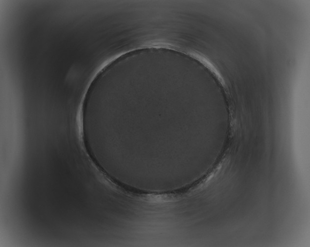 X0000100751032200806261539