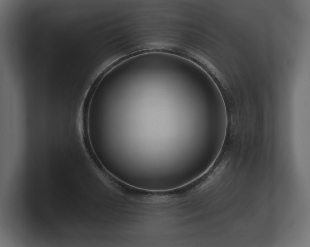 X0000100751034200806261539