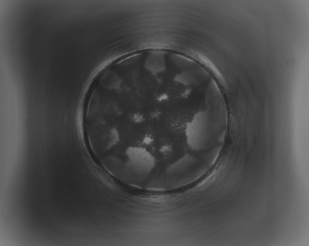 X0000100751035200806261539