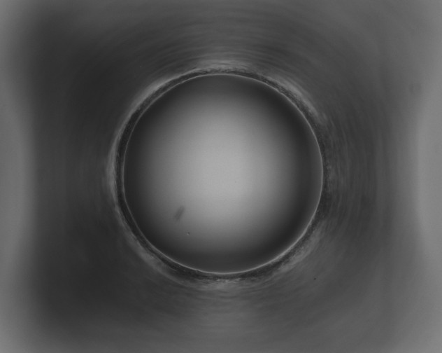 X0000100751038200806261540