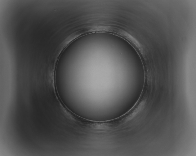 X0000100751041200806261540