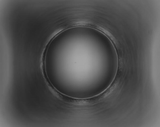 X0000100751042200806261540