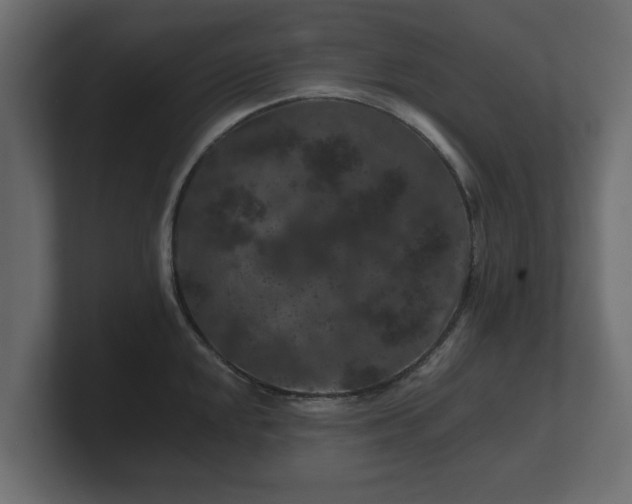 X0000100751048200806261540