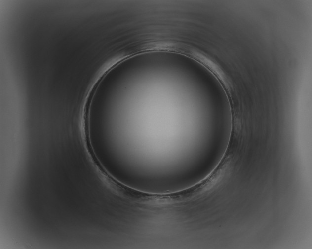 X0000100751050200806261540