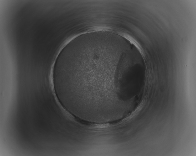 X0000100751055200806261540