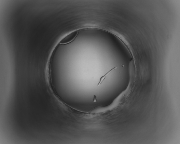 X0000100751056200806261540