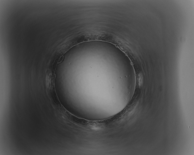 X0000100751059200806261539