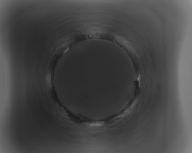 X0000100751060200806261539