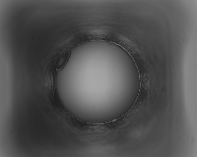 X0000100751061200806261539