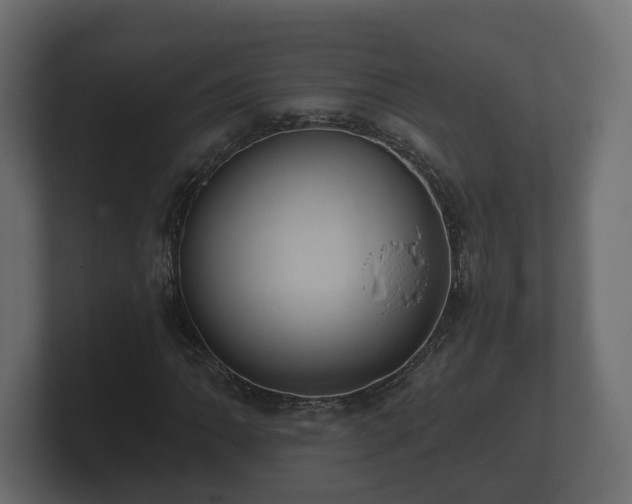 X0000100751062200806261539