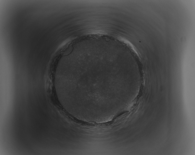 X0000100751064200806261539