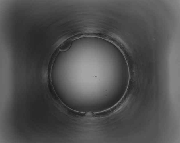 X0000100751065200806261539