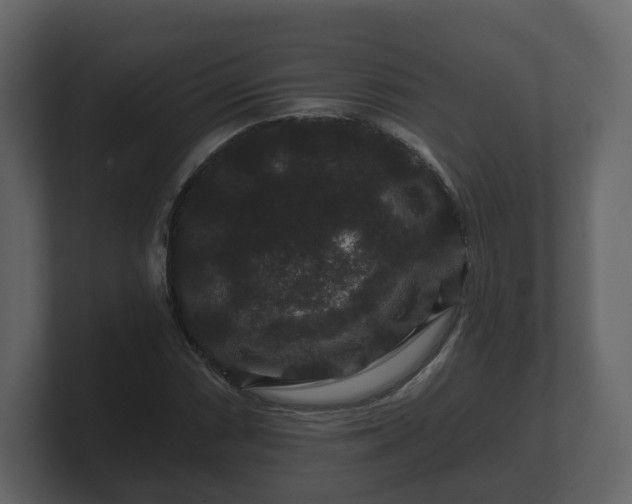 X0000100751066200806261539