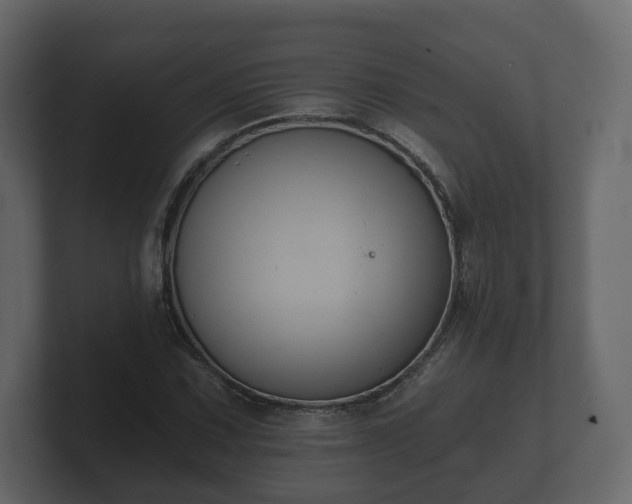 X0000100751067200806261539