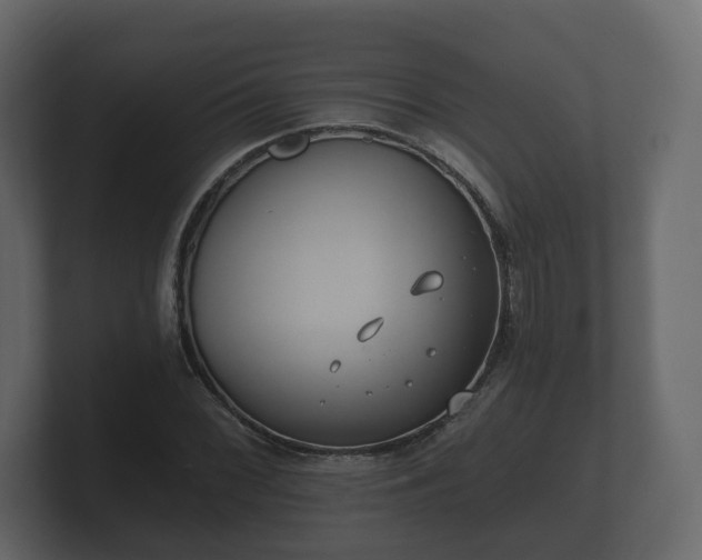 X0000100751068200806261539