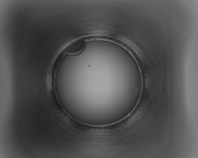 X0000100751069200806261539