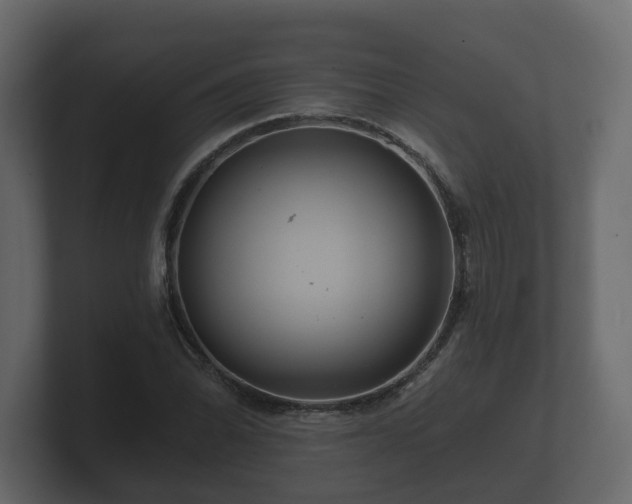 X0000100751070200806261539