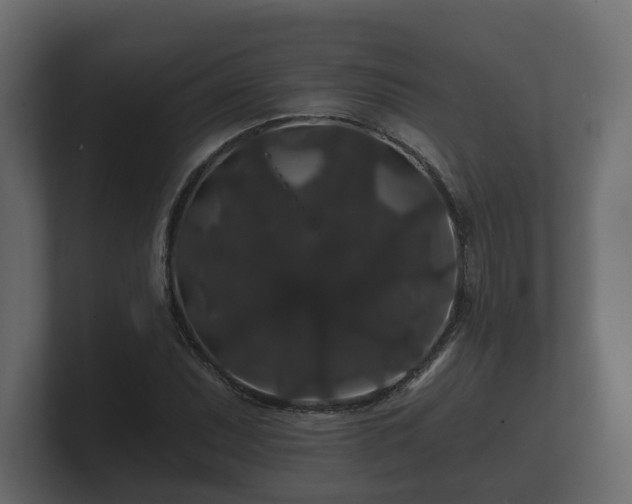 X0000100751071200806261539