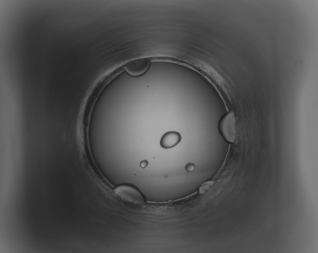 X0000100751072200806261539