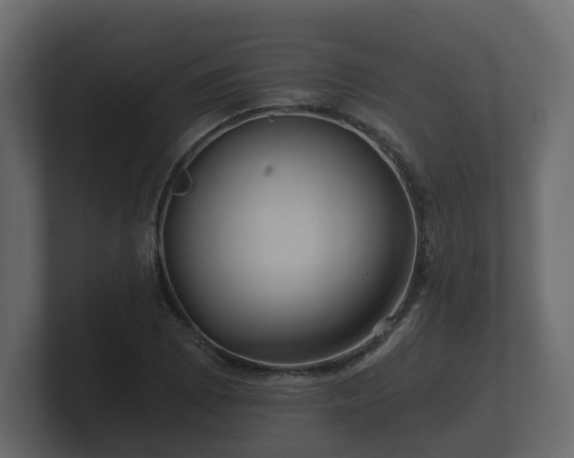 X0000100751073200806261539