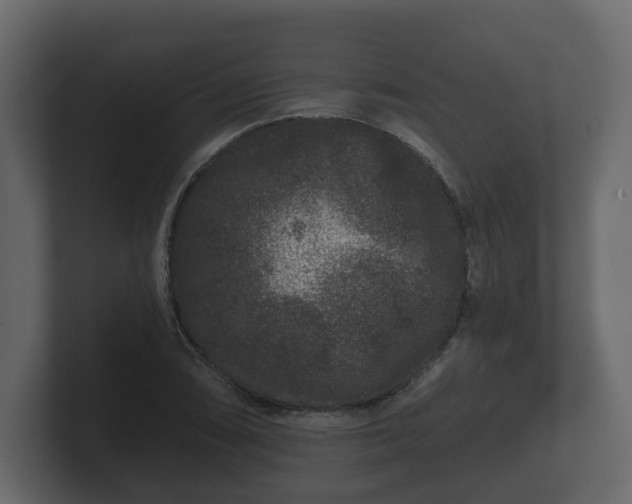 X0000100751074200806261539