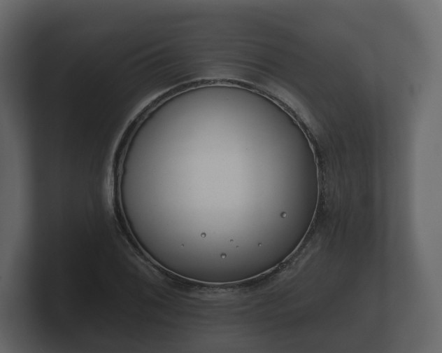 X0000100751076200806261539