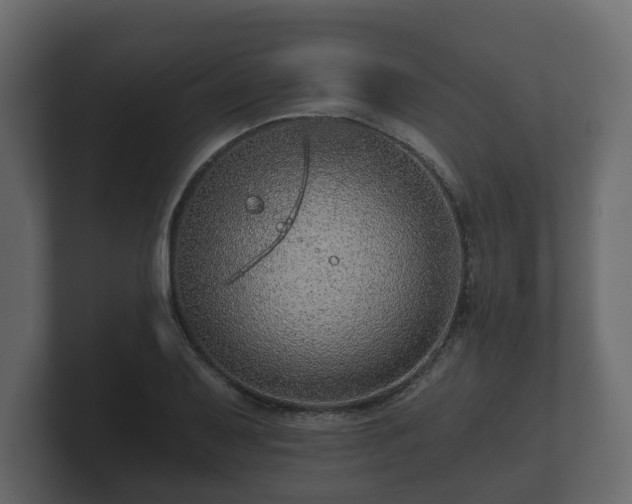 X0000100751079200806261539