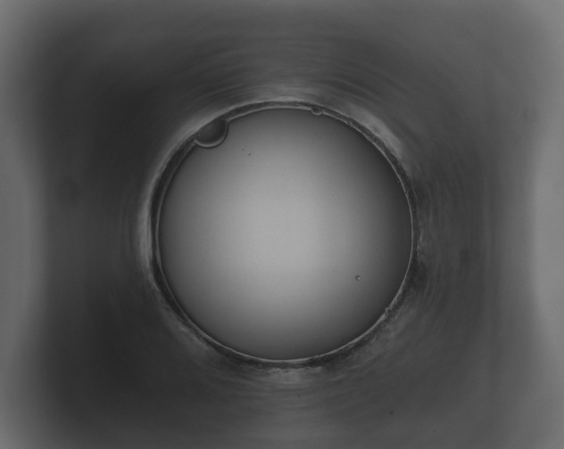 X0000100751080200806261539