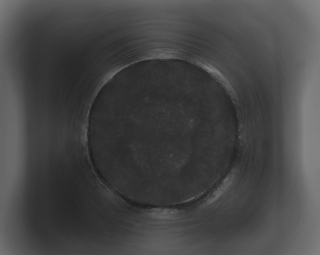 X0000100751081200806261539