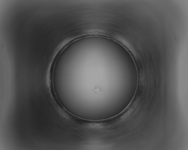 X0000100751082200806261539