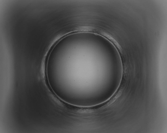 X0000100751083200806261539