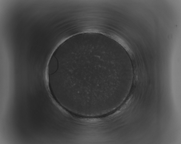 X0000100751084200806261539